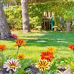 Garden Paradise Appartamento *