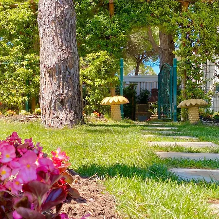 Garden Paradise * Dıraç