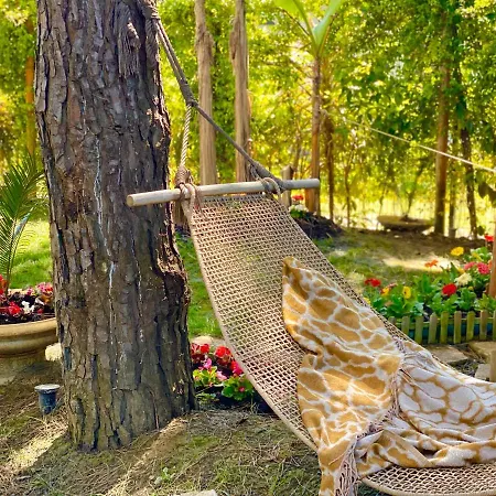 Garden Paradise *