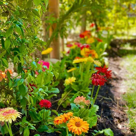 Garden Paradise