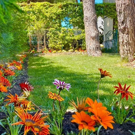 Garden Paradise