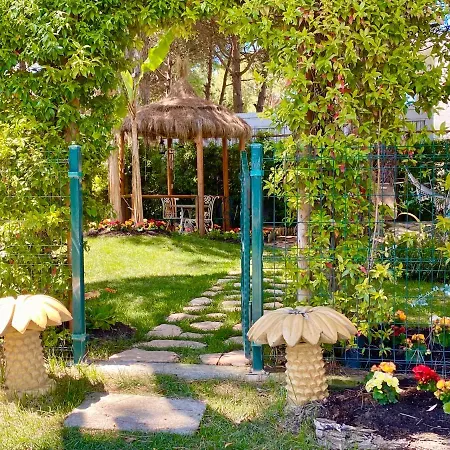 Garden Paradise