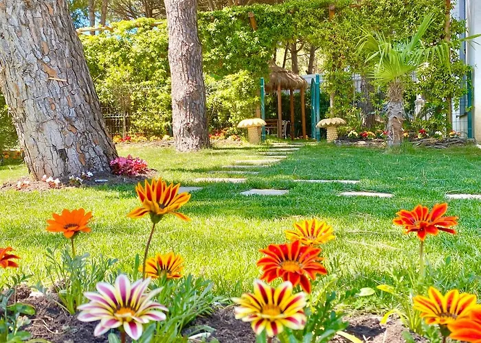 Garden Paradise 公寓 *